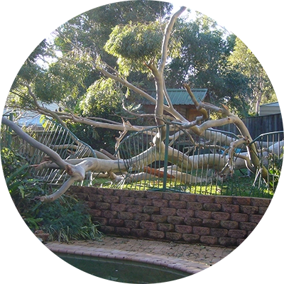 Shows damaged caused by a tree during a storm in an urban residence